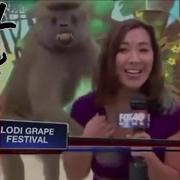 4chan Ylyl Dank Meme Webm Vine Compilation 8