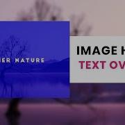 Image Hover Effect With Text Overlay