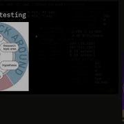 39C3 Demystifying Fuzzer Behaviour