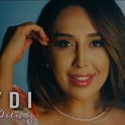 Dilnoz Daydi Mood Video