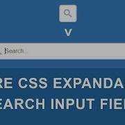 Pure CSS Animated Expandable Search Input Tutorial