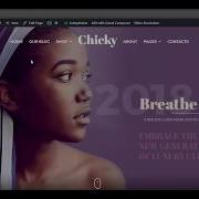 Sample Data Installation For Chicky WooCommerce WordPress Theme