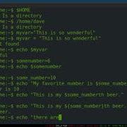 Bash Programming 3 Variables And Quoting