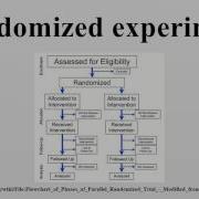 Randomized Experiment