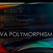 Java Polymorphism Down Casting And Instanceof