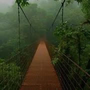 S P Y Liquid Drum And Bass Mix 60
