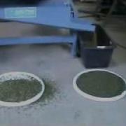 FS 2000 Parsley Processing Avi Flv