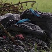 Yard Waste Pick Up Still Delayed