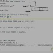 PLS 11 Oracle PL SQL Reference Cursor