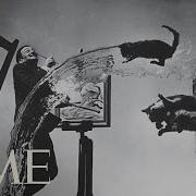 Dali Atomicus Phillipe Halsman Salvador Dali S Photography 100 Photos TIME