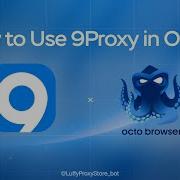 How To Use 9PROXY In OCTO BROWSER Guide