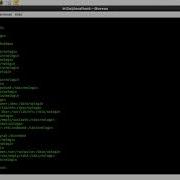 Typical Linux Etc Passwd File Command
