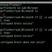 Unix For Neuroimagers 6 Conditional Statements