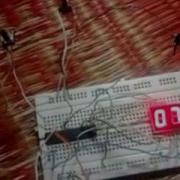 Atmega8 Multiplexing 7 Segment Display Buttons