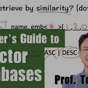 Beginner S Guide To Vector Databases