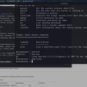 Operating System Command Injection Tutorial