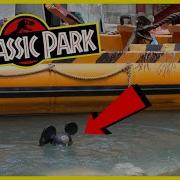 Don T Do This At Universal Studios Shorts