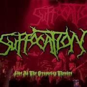 Suffocation Breeding The Spawn