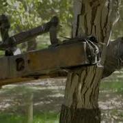 California Walnut Harvesting