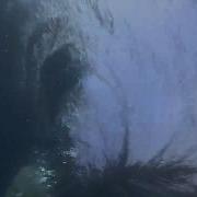 Would You Know How To Survive A Whirlpool