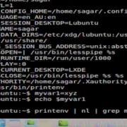 Difference Between Environment And Shell Variables In Redhat
