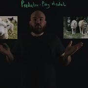 Predator Prey Model Lotka Volterra Equations