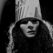 Buckethead Animal Behavior