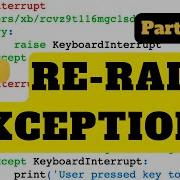 Re Raise Exceptions Python Tutorial