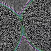 Seeing Cell Division Like Never Before