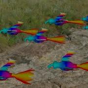 3D Flying Bird Crowd Or Flock Animation In Maya 2023 With Mash