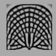 A Fast Animation Of Topology Optimization Of Porous Structures