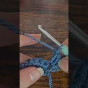 Shell Stitch Crochet Tutorial Diy Viral Short Shorts Crochet Tutorial