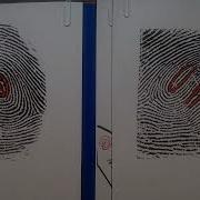 204 VARIATIONS OF PRINT PATTERNS THE COMPOSITE LOOP