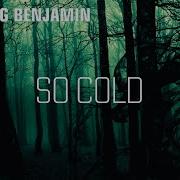 SO COLD BREAKING BENJAMIN LYRICS