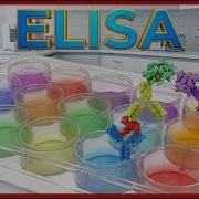 Enzyme Linked Immunosorbent Assay ELISA Animation