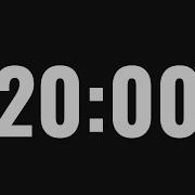 20 Minute Timer