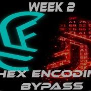 Year Of The Red Teamer Week 2 Hex Encoding Bypass