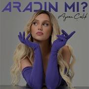 Aradın Mı