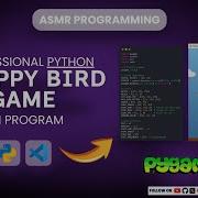 Build The ICONIC Flappy Bird In 30 MINS With PURE Python Pygame Beginner To PRO Tutorial