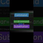 Command Substitution In Bash Script Shell Scripting Basics Shellscripting Linux Coding Shell