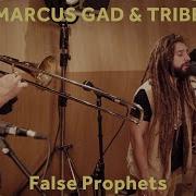 Marcus Gad False Prophets Baco Session