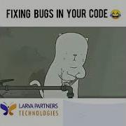 Bug Fix Meme
