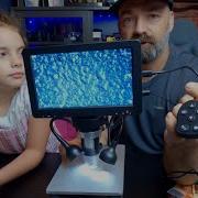 Digital Microscope Record Video And Take Pictures