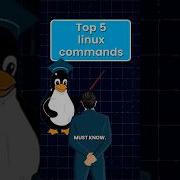 5 лучших команд Linux