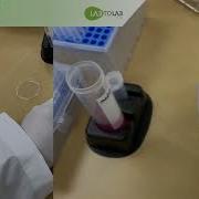 LABTOLAB LabSphero 스페로이드 형성방법 Spheroid Formation Method
