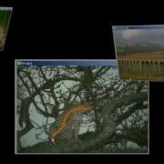 Interactive Texture Segmentation