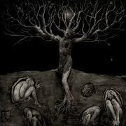 All Traps On Earth A Drop Of Light