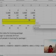 Linear Programming With Binary And Integer Decision Variable Https Quantintegrity Com 510 398 0006