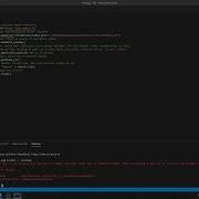 Selenium Python VSCode Install