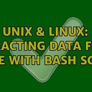 Unix Linux Extracting Data From A File With Bash Script